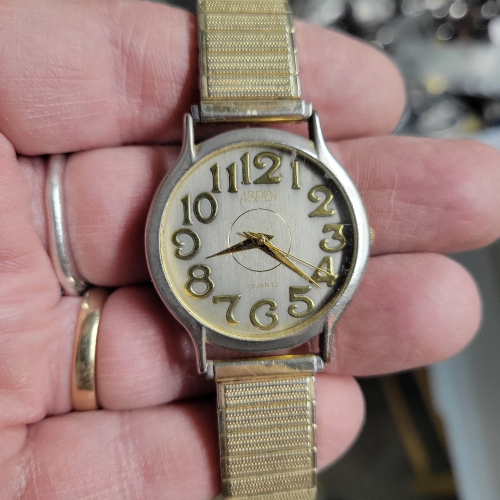 Men's Aspen Quartz watch on a Speidel bracelet